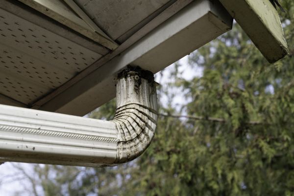 Roof Drain Replacement in Northville